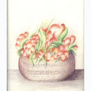 WhatsAppImage2025-12-02at10.33.26AM-ezgif.com-resize