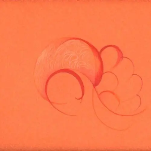 WhatsAppImage2025-12-02at10.33.26AM1-ezgif.com-resize