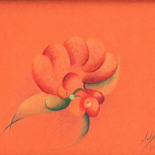 WhatsAppImage2025-12-02at10.33.26AM2-ezgif.com-resize