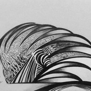 WhatsAppImage2025-12-02at10.33.27AM-ezgif.com-resize