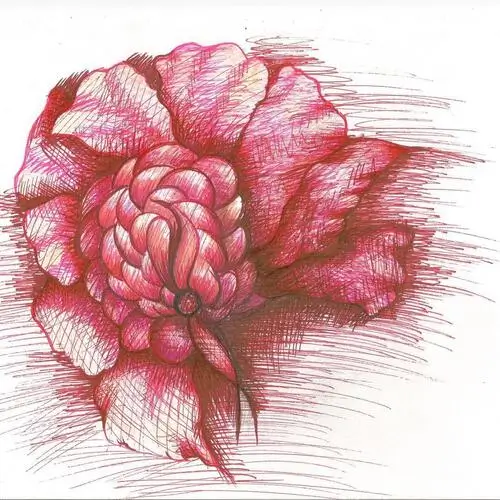 WhatsAppImage2025-12-02at10.33.28AM-ezgif.com-resize