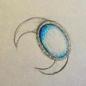 WhatsAppImage2025-12-02at10.33.28AM1-ezgif.com-resize